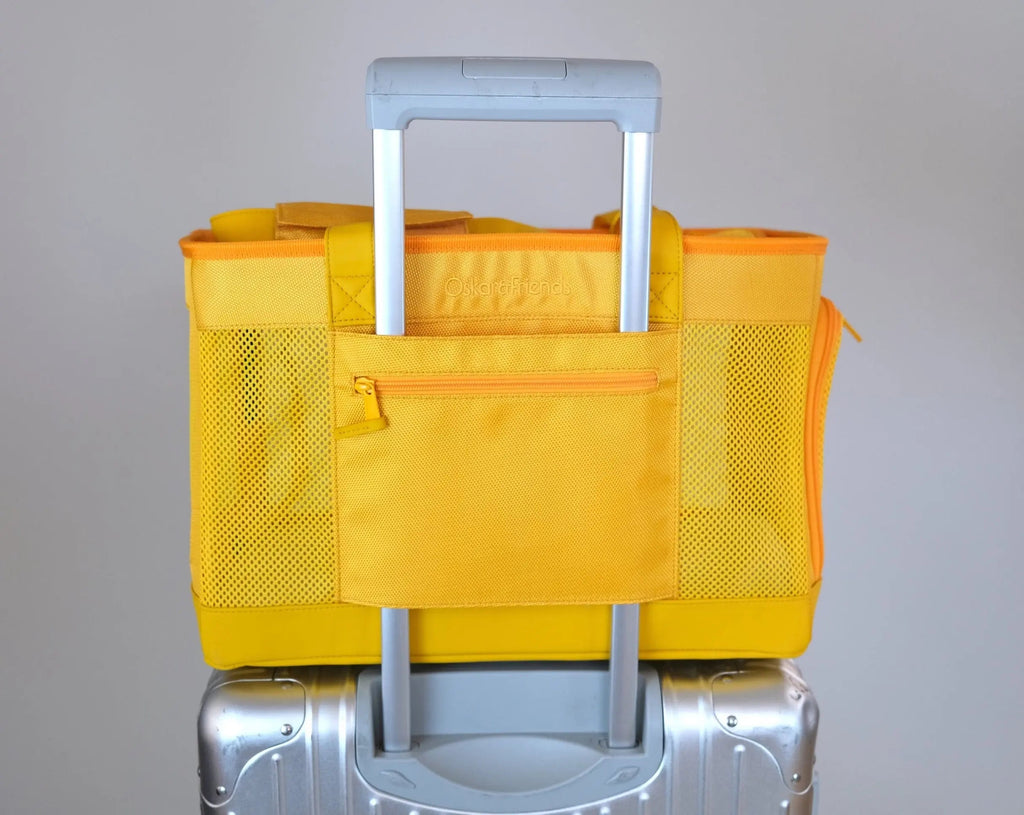 Sunburst Yellow Pet Travel carrier