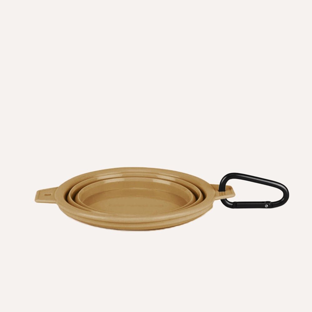 Collapsible Pet Bowl with Clip – Compact, Reusable and Easy to Clean